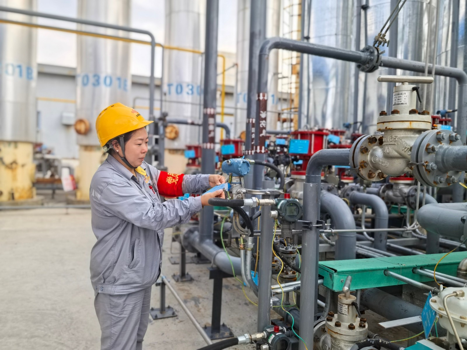 窦芳芳(1).jpg 窦芳芳(1).jpg